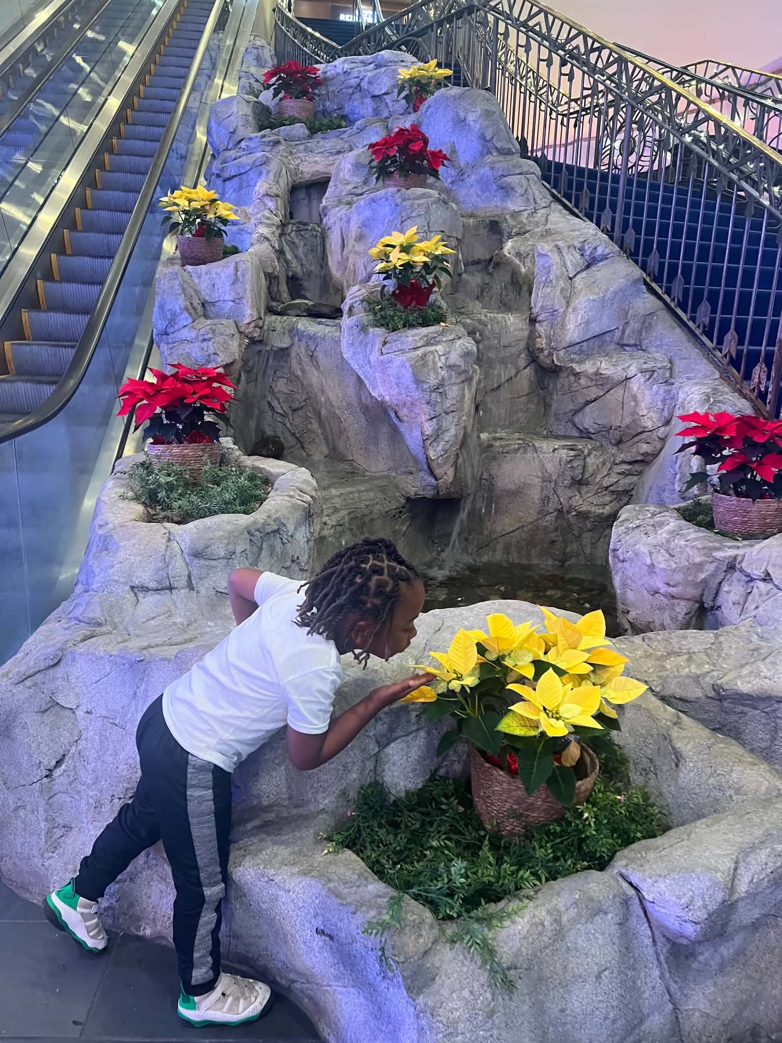 Child exploring an indoor garden and water feature