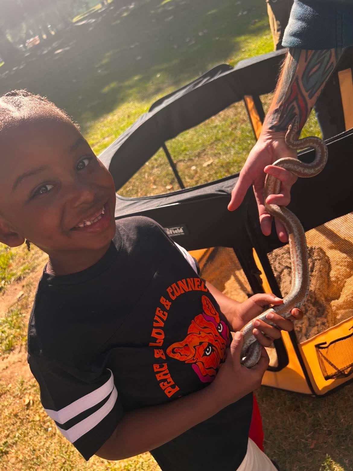 Child learning about wildlife while holding a snake