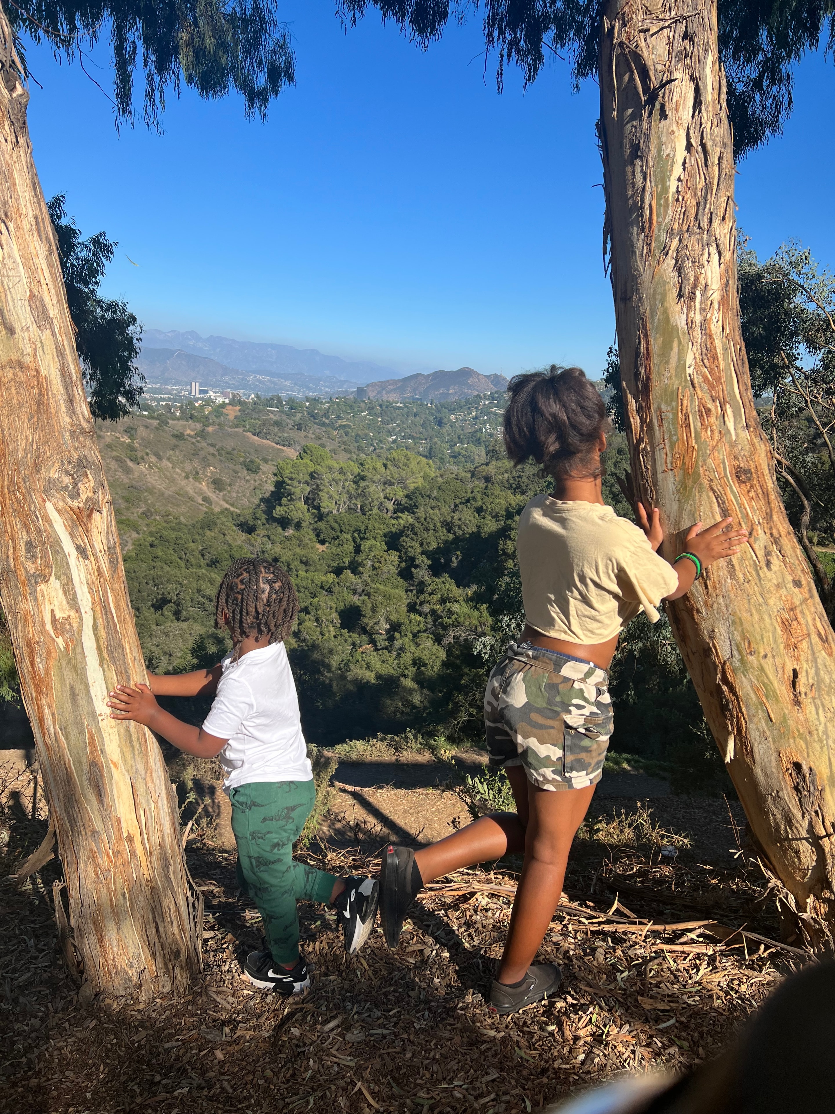 Children exploring a wooded trail with mountain views