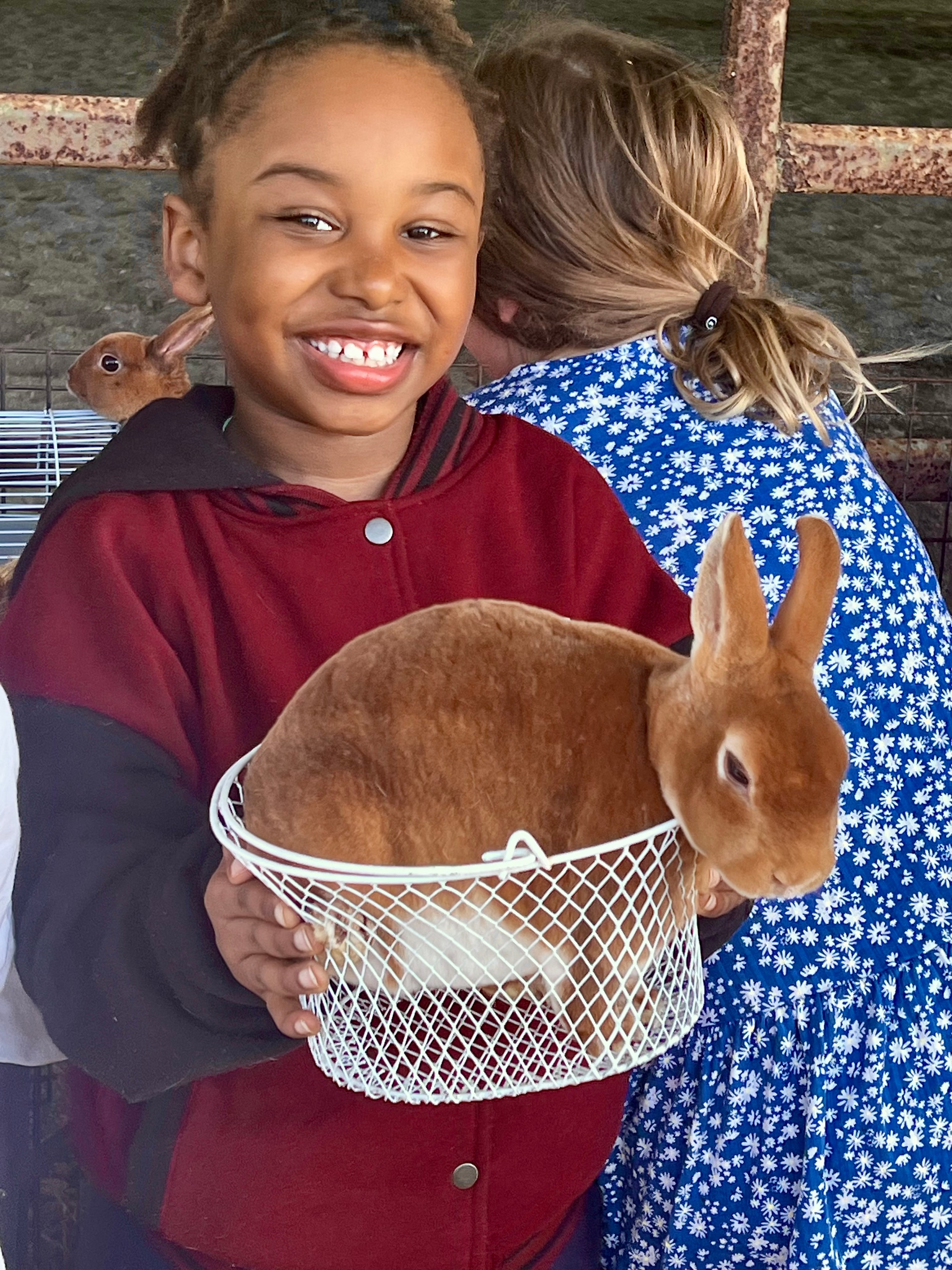Children enjoying time with rabbits