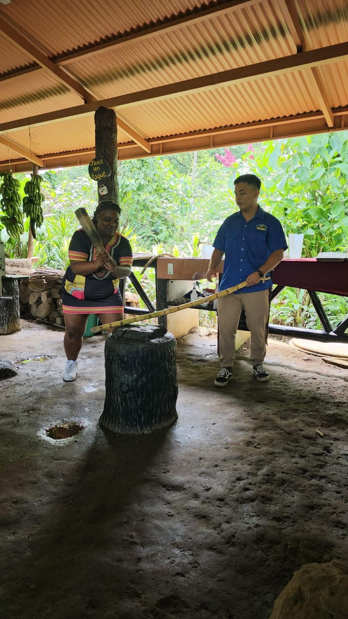 Community members taking part in a traditional Costa Rican activity