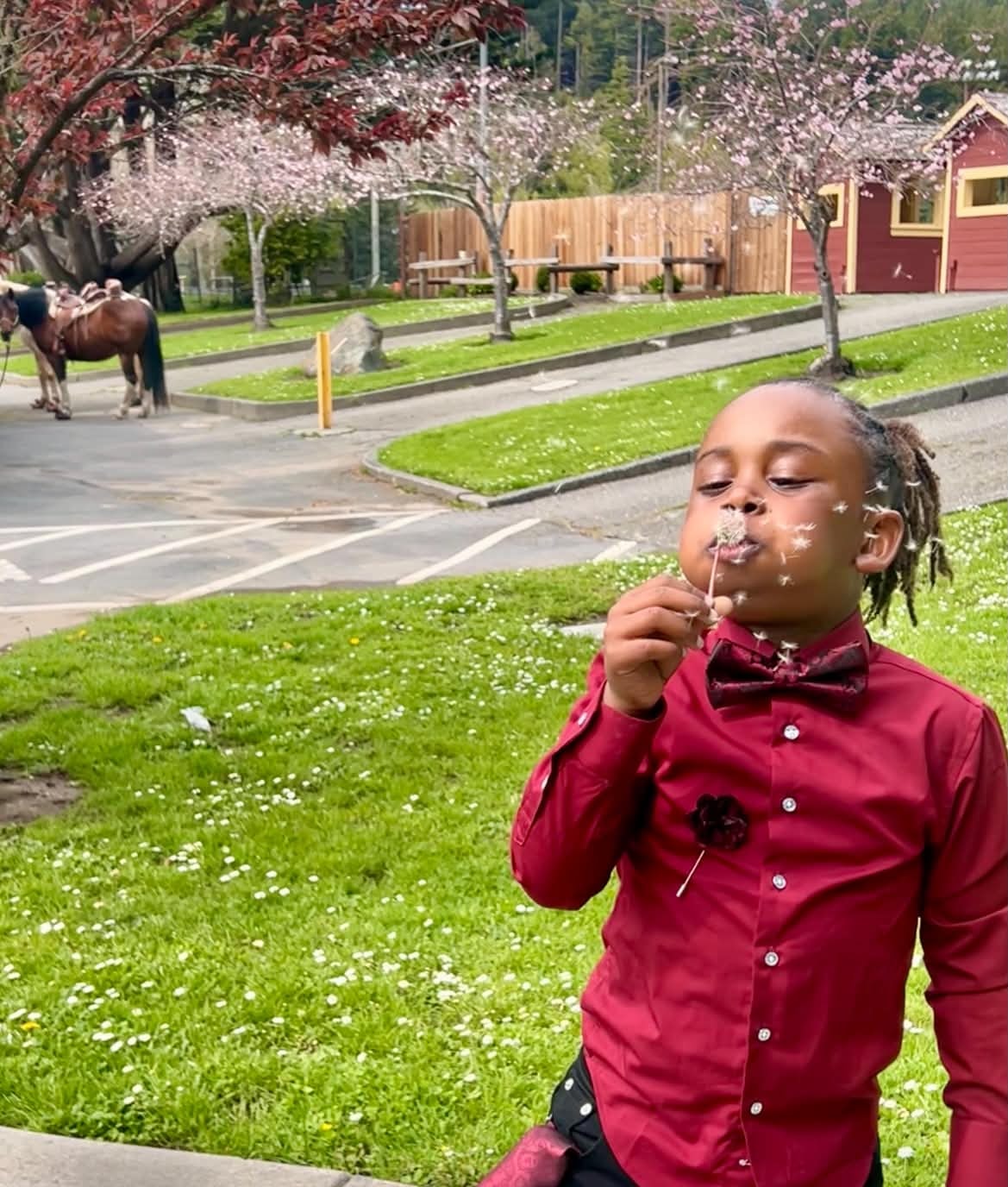Child blowing a dandelion near a horse and flowering trees