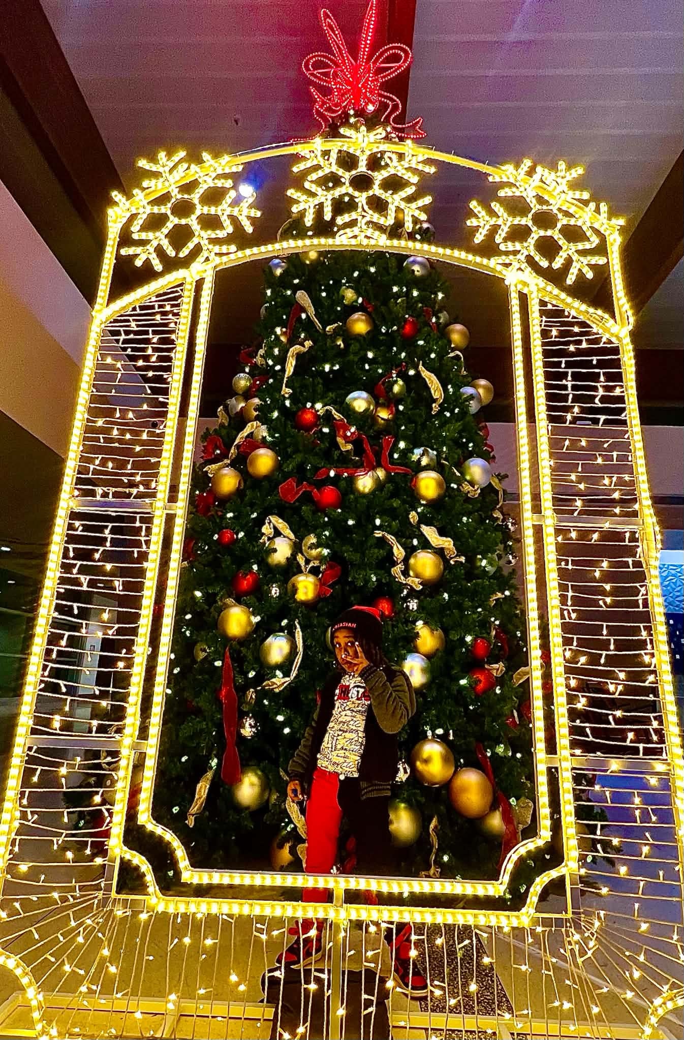 Child enjoying a festive holiday tree display