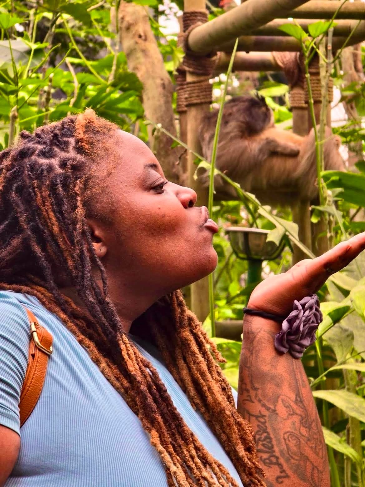 Community member observing a monkey in a lush habitat
