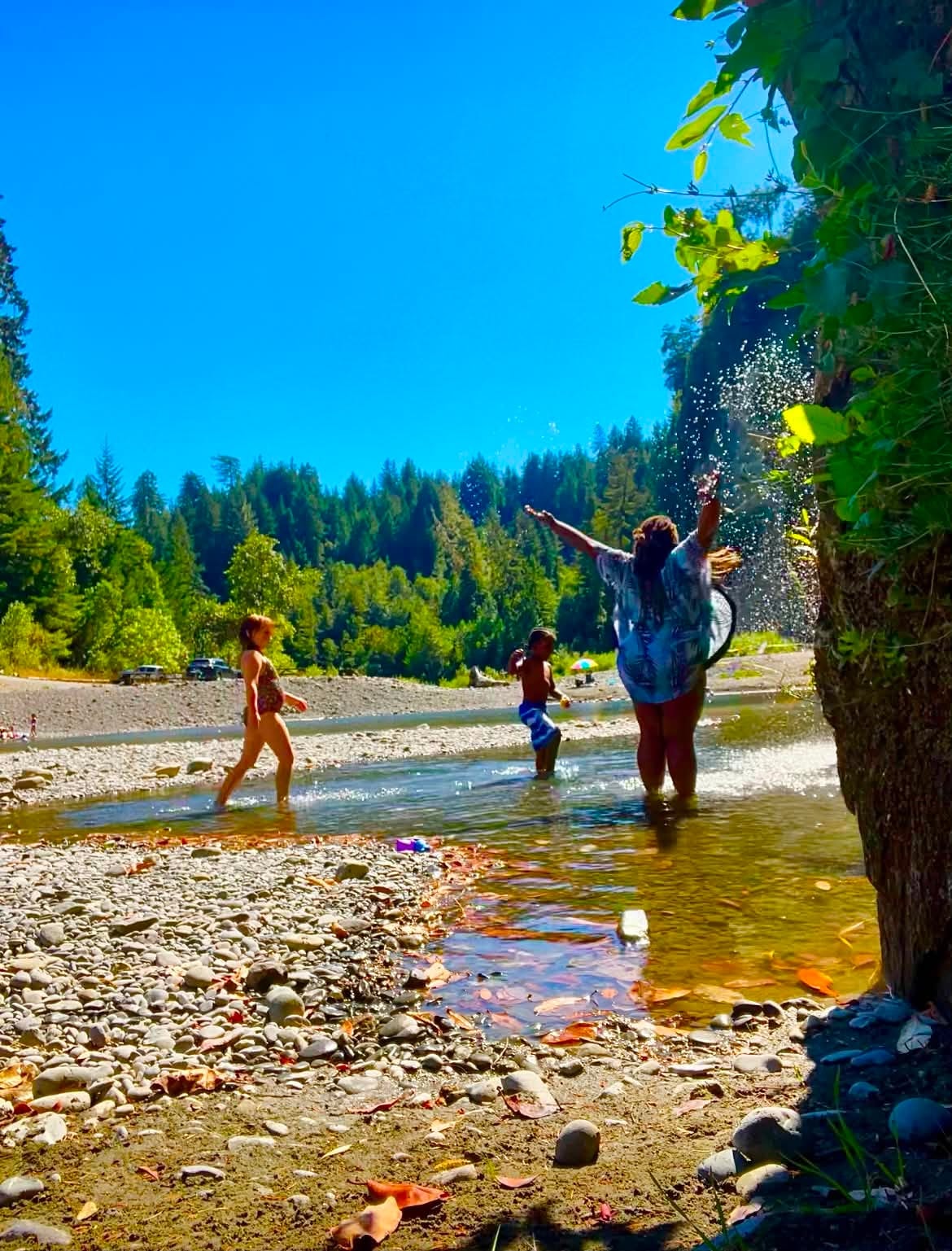 Family playing in a sunny forest river