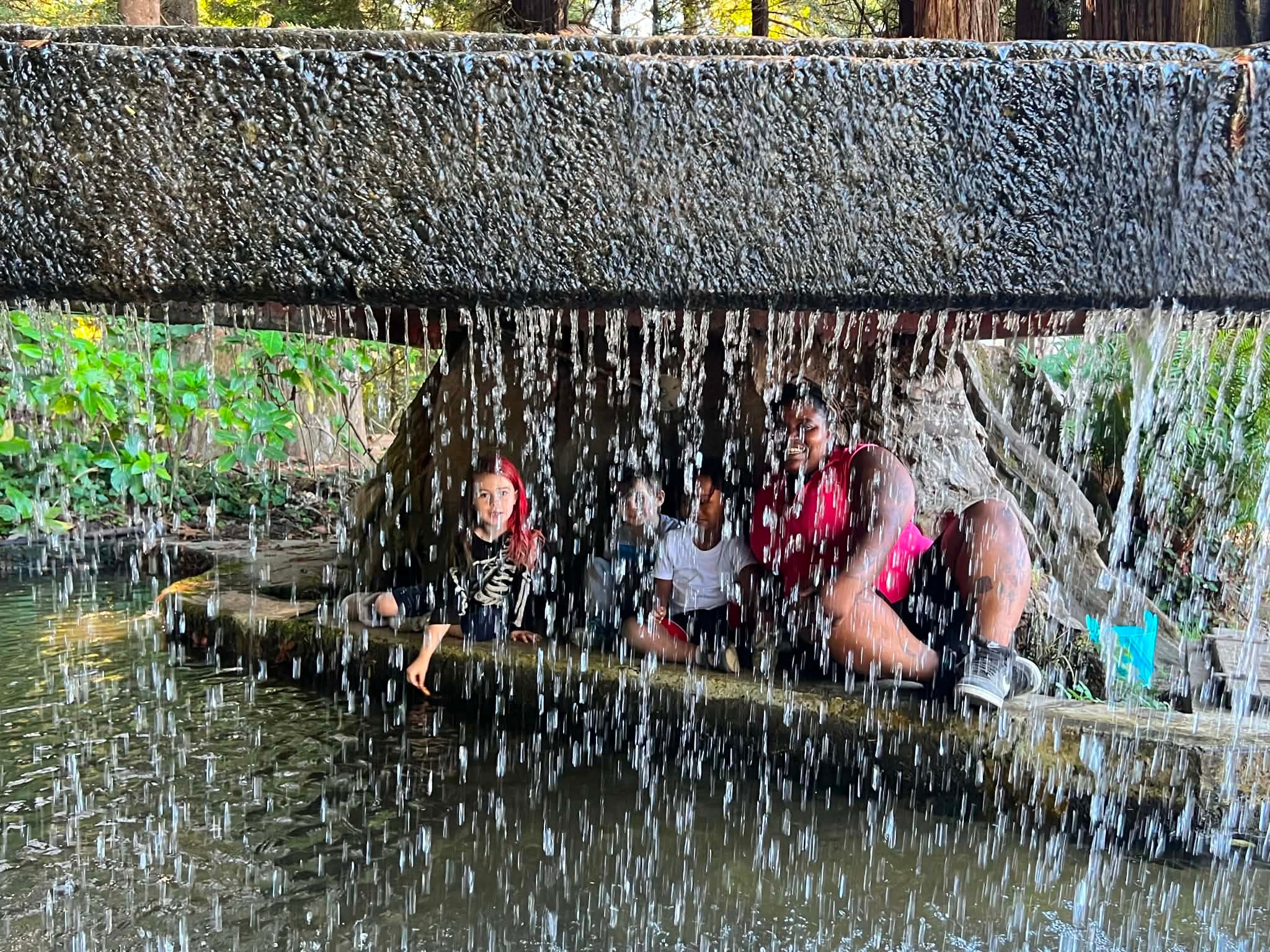 Families enjoying a waterfall outing together